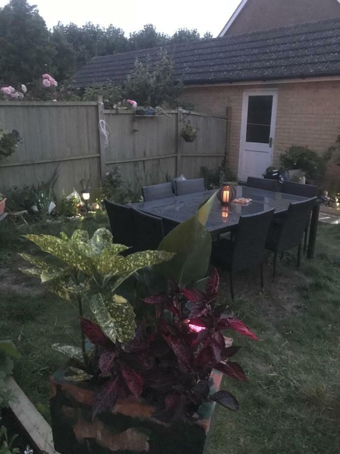 Guest house George House 3*